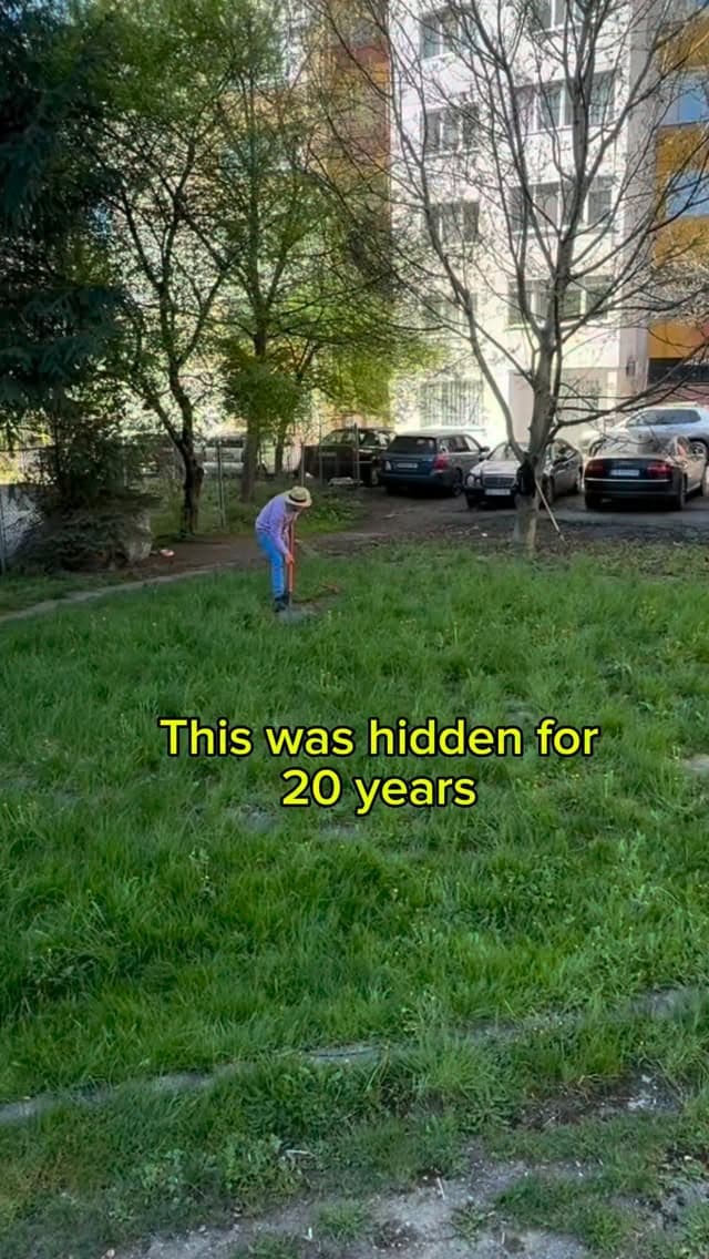 Hidden 20 years — restored