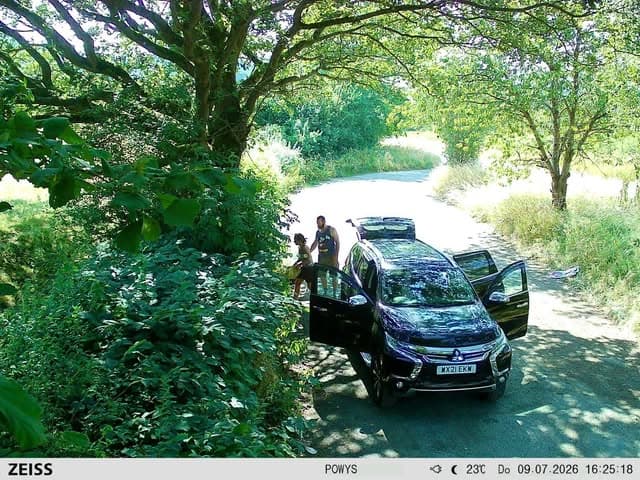 Roadside litter reality